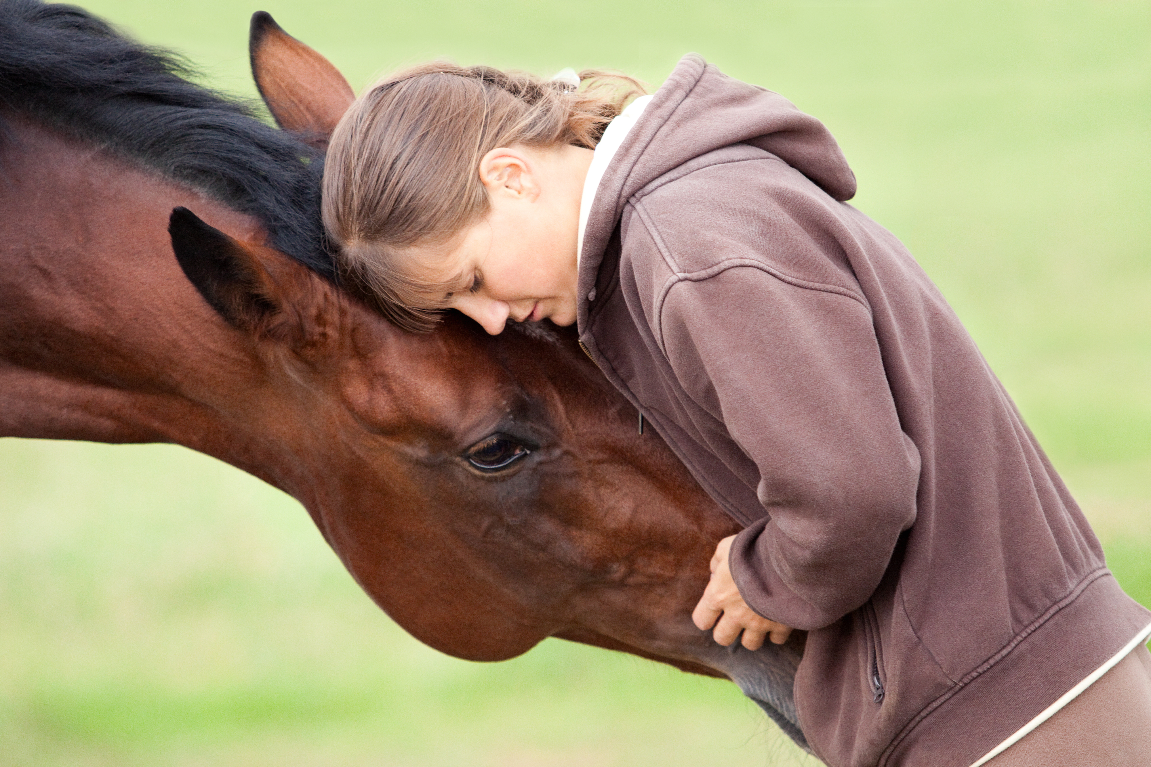 Programs Windfall Equestrian Center Stillwater Minnesota